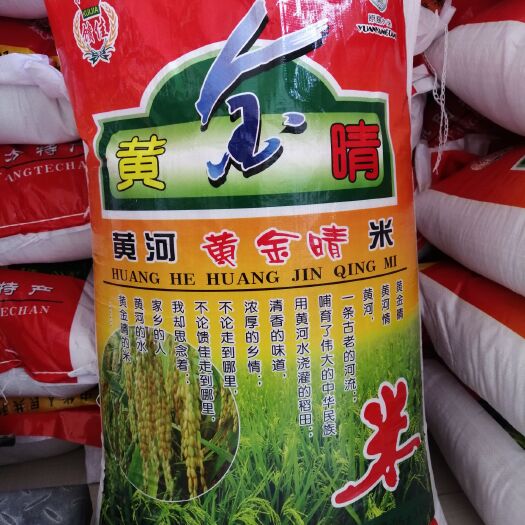 西华县黄金晴大米 一等品 一季稻 粳米