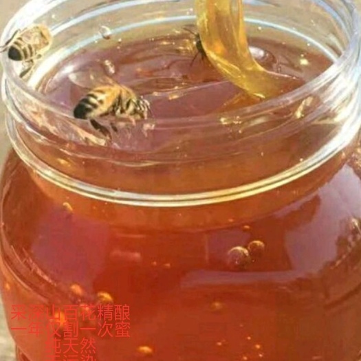 通江县土蜂蜜    天然土蜂蜜