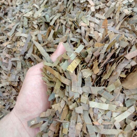 罗定市香叶 桂叶