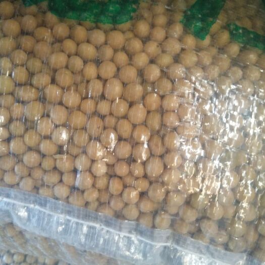 哈尔滨黑河43号 生大豆 1等品 