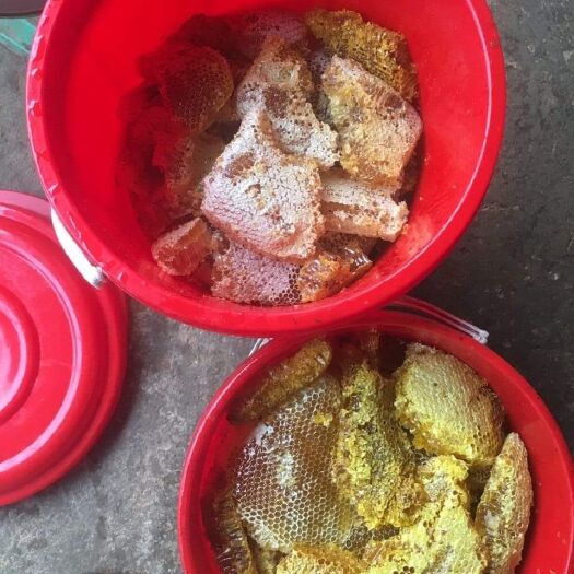 凭祥市野生蜂蜜 玻璃瓶装 2年 