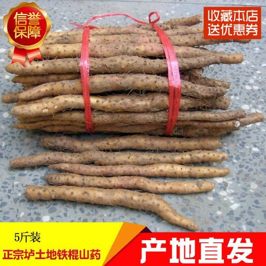 铁棍山药  5斤装河南焦作温县垆土铁棍怀山40公分左右