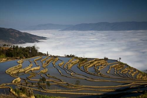 红河县水田 山地，林地，梯田出租。多少亩都可以租