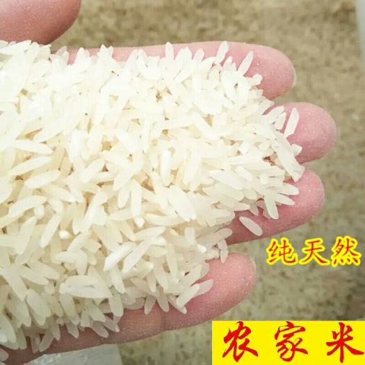 永康市甬优15号大米 一等品 一季稻 籼米