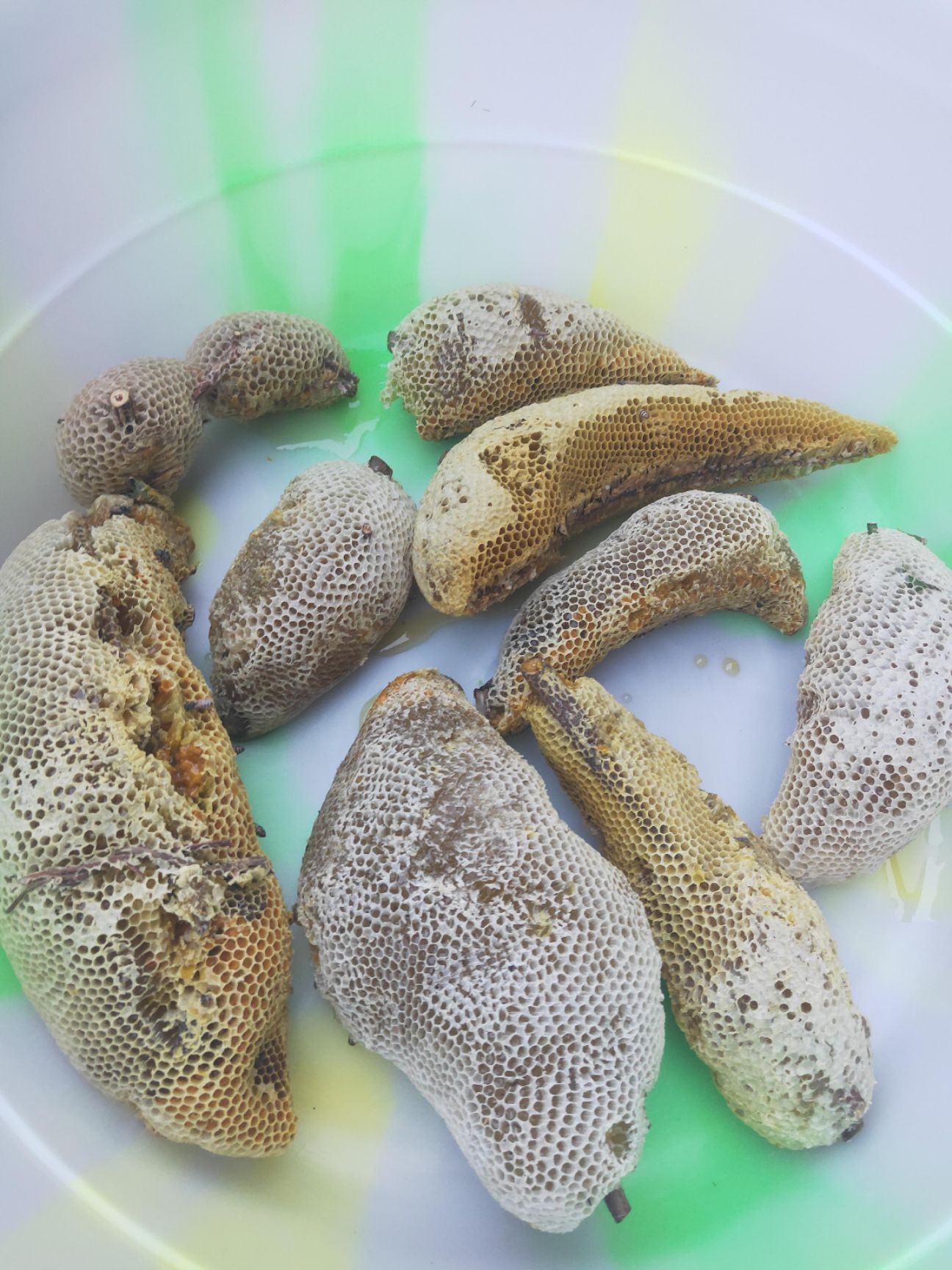 黑蜂蜂蜜好不好(黑蜂蜂蜜怎么吃最好) 黑蜂蜂蜜好不好(黑蜂蜂蜜怎么吃最好)