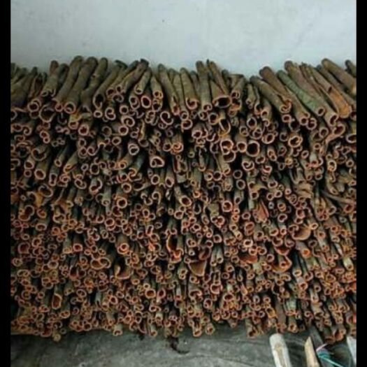 郁南县普通桂皮