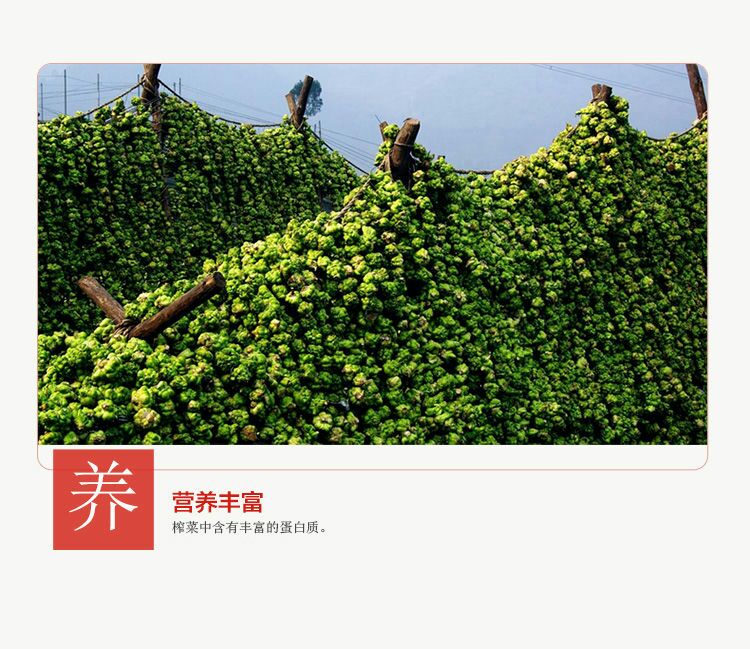 涪陵榨菜方便榨菜红油榨菜50g装