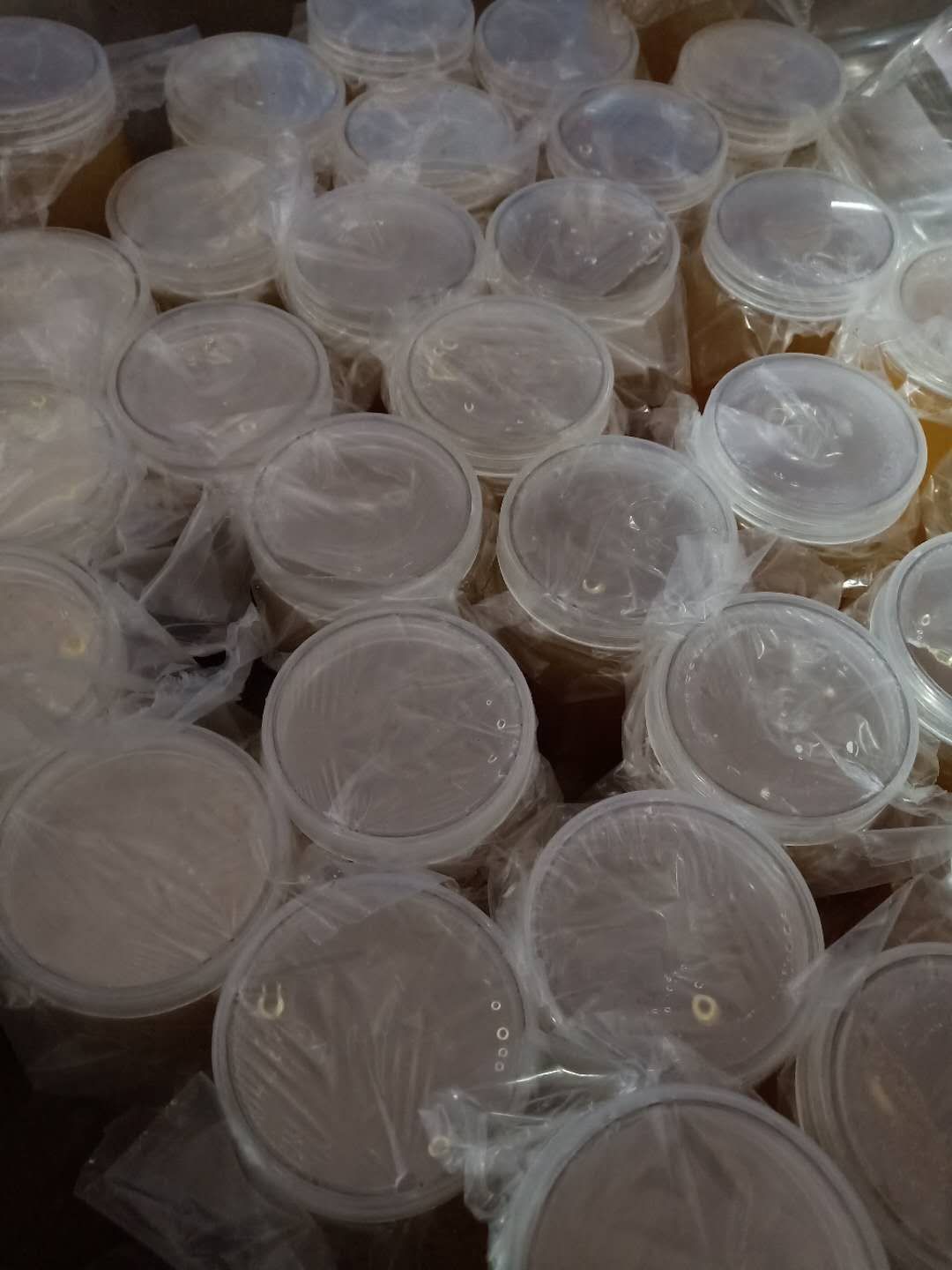 野生蜂蜜 塑料瓶装 2年以上 