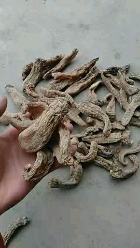 天麻  中药材天麻大统林下露天陕西秦岭无硫原色天然晒干