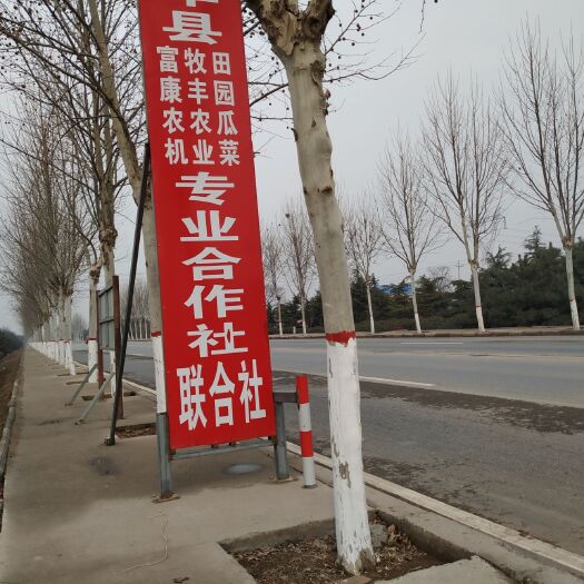 中牟县中牟大蒜 混级统货 多瓣蒜