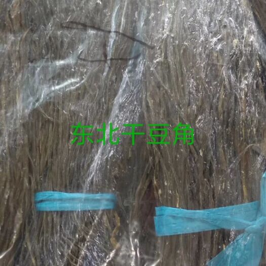 北京干豆角 2-3个月