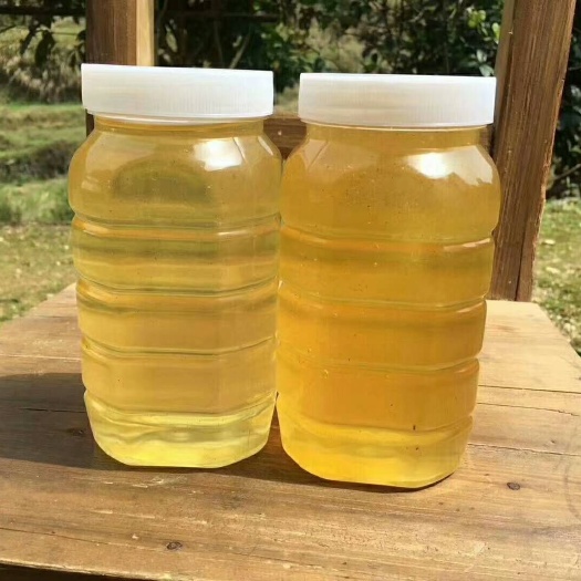 修水县土蜂蜜 塑料瓶装 2年以上 