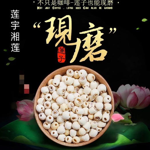 湘潭县磨皮莲子  湖南湘莲 莲 去芯磨皮白莲子 量大从优 厂