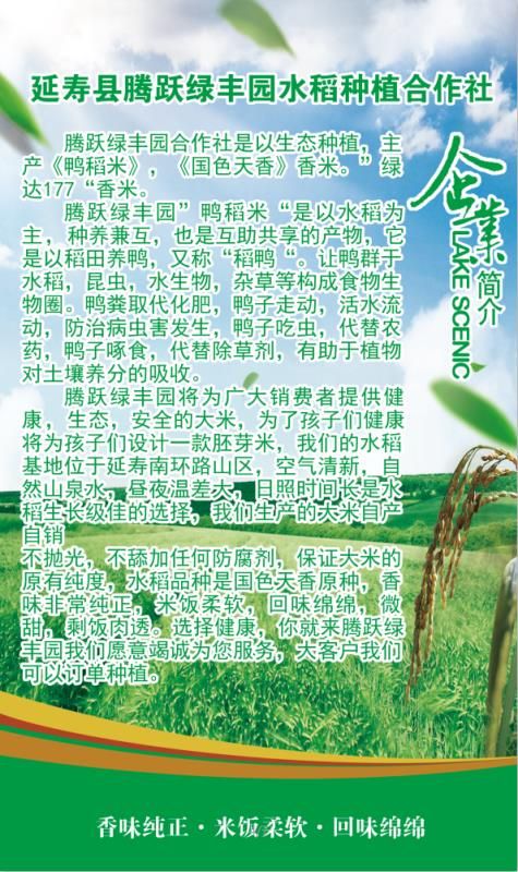 东北大米 一等品 晚稻 粳米