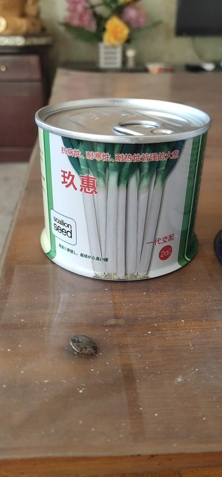 济南日本铁杆大葱种子