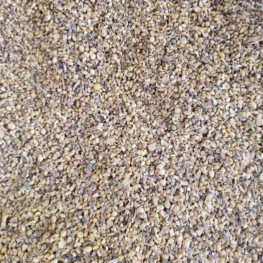 钟祥市碎豆 生大豆 5等品