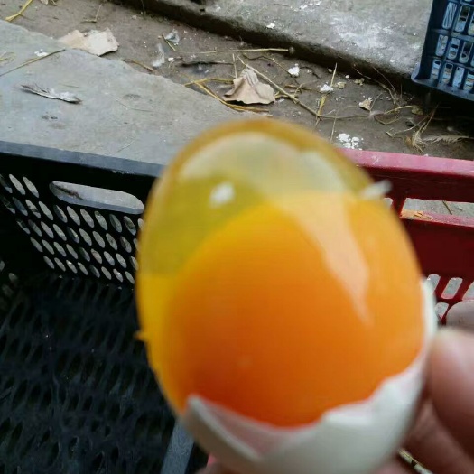 成都盐皮蛋