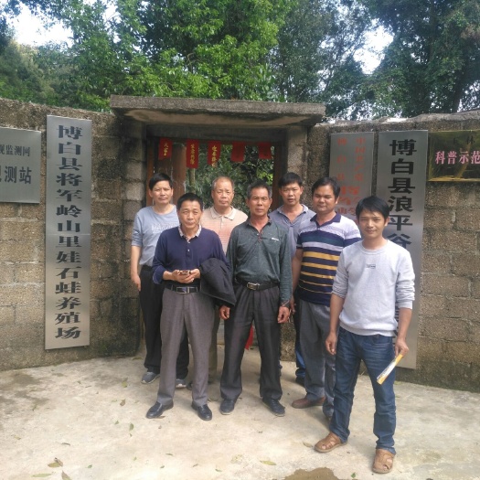 博白縣農(nóng)技人員 牛蛙養(yǎng)殖技術(shù)培訓(xùn)