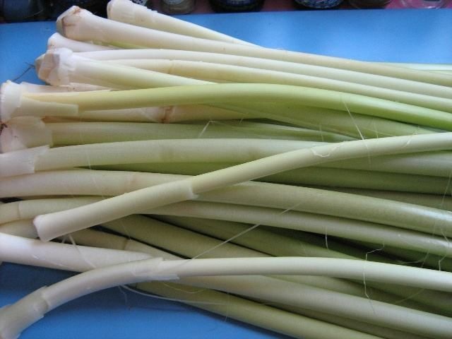 扬州蒲菜
