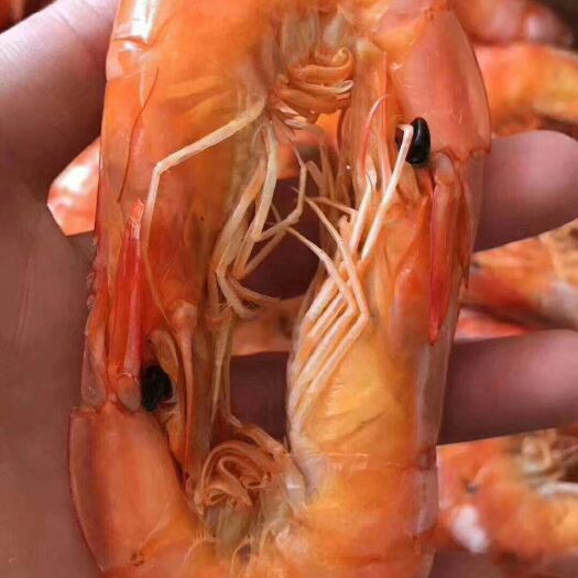 漳浦县对虾干