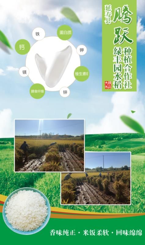 东北大米 一等品 晚稻 粳米