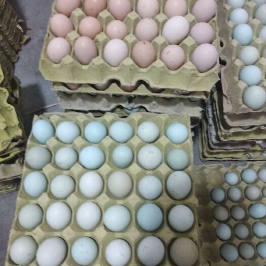 永丰县土鸡蛋 食用 简包装