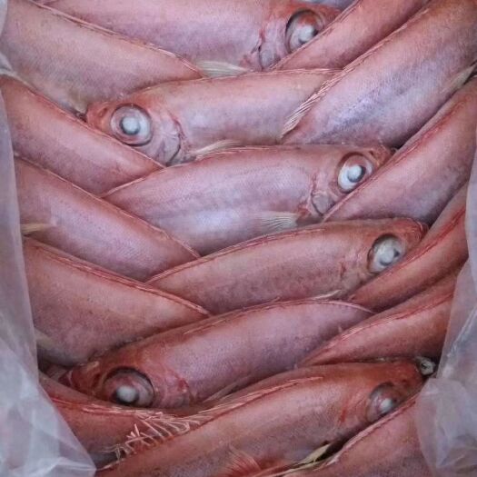 北海冻品海鱼 船冻鱼大眼鸡红目鲢