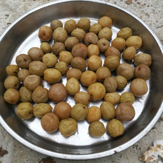海丰县青竹梅 15-20g 