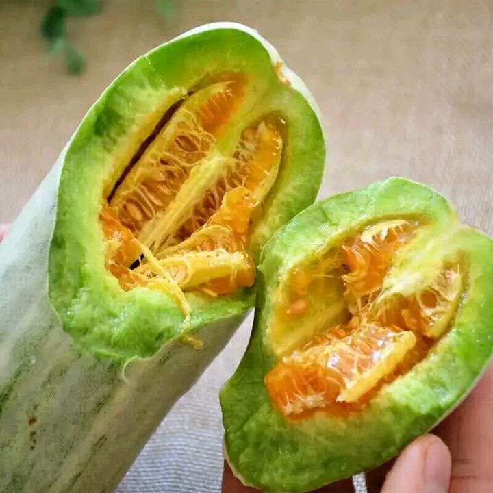 博洋61甜瓜 山东莘县产地，羊角蜜供应链，对接各大电商平台合作共赢