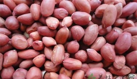 带壳花生  干货 带壳花生 花生米