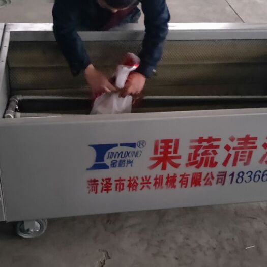 菏泽清洗机 三七玛卡清洗设备