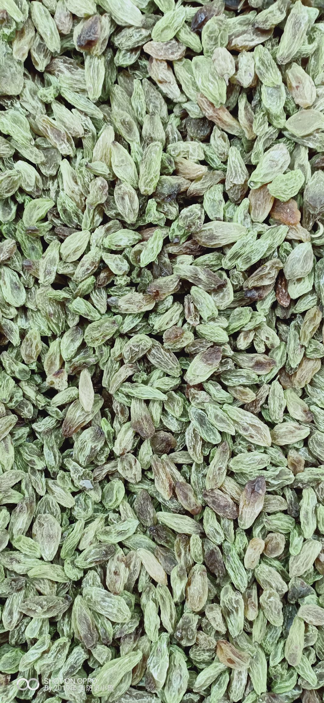 巴旦木 半年 果仁