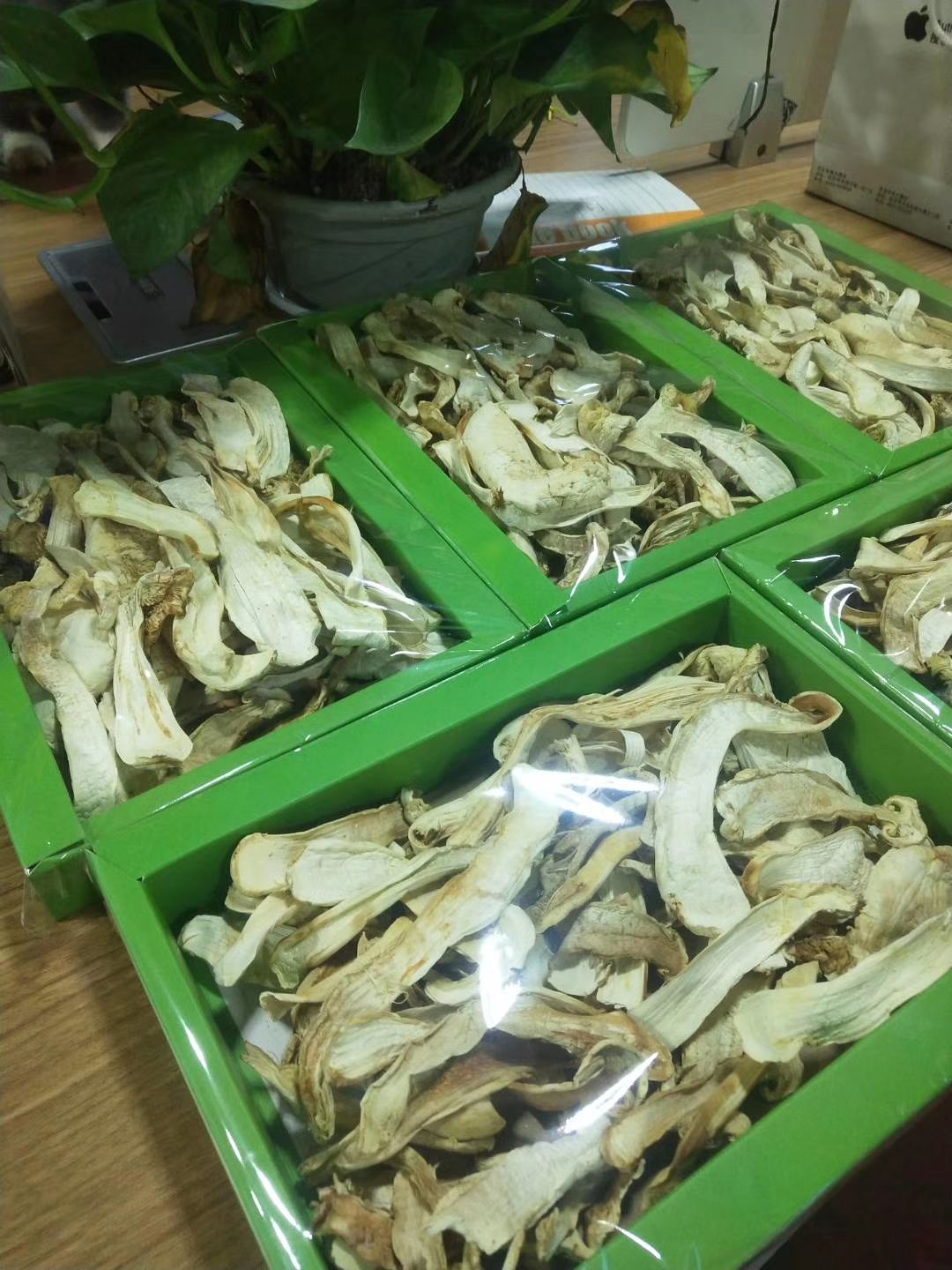  东北松茸干片  长白山松茸干片  礼盒装  延吉发货
