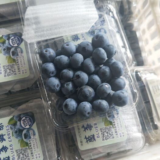 庄河市蓝丰蓝莓 15mm以上 鲜果