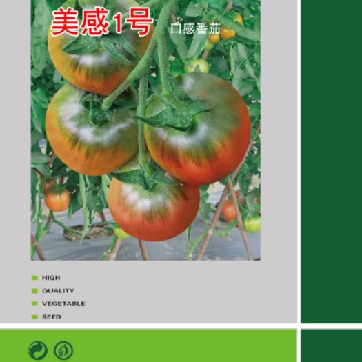 草莓番茄种子 口感番茄种子，草莓番茄种植，基地采摘园铁皮西红