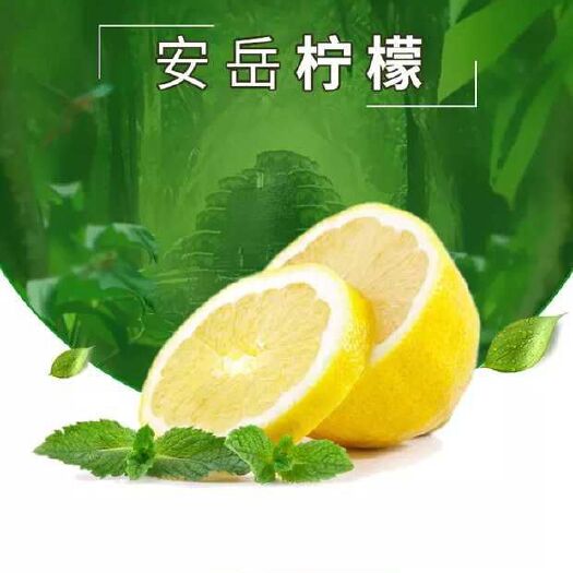 安岳县尤力克柠檬  安岳柠檬