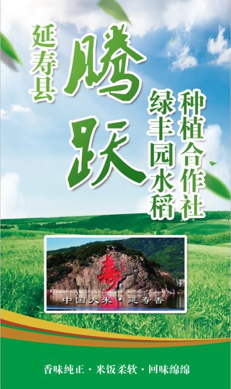 东北大米 一等品 晚稻 粳米