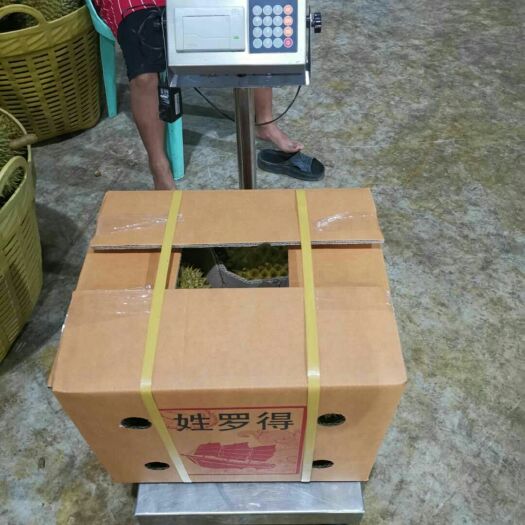 深圳泰国金枕榴莲 自家果园新牌子入市，和泰象的品质一样好，比罗兰的价格低。