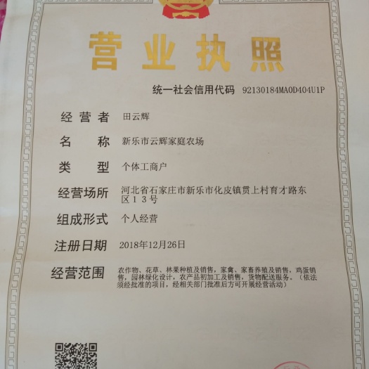 新乐市柴鸡蛋 食用 散装