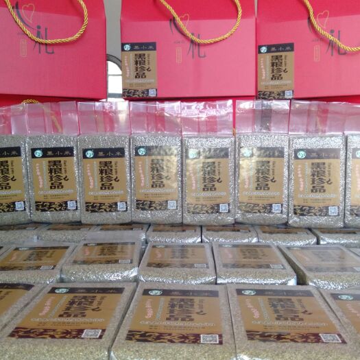 长治黑小米