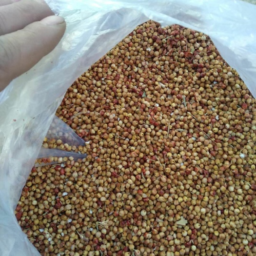 宁城县红茅6号 2等品 霉变 ≤1%