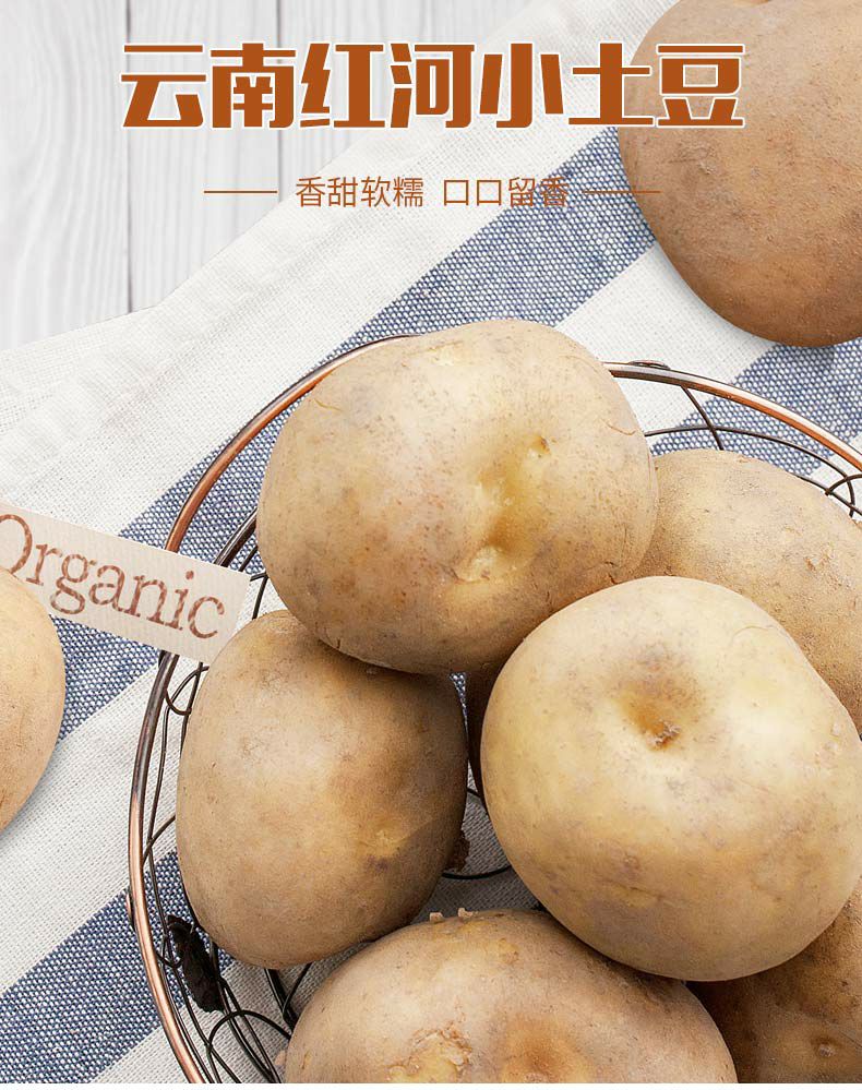 潮州 云南小土豆现挖现发 新鲜洋芋马铃薯非转基因10斤包邮