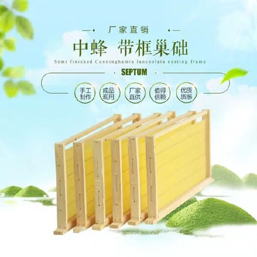 长葛市巢框 优质成品带蜜蜂巢础巢脾中蜂蜂框蜂巢上好铁丝带框包邮