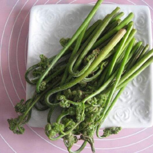 凤城市野生蕨菜 鲜货