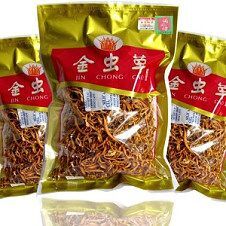 安国市人工培植虫草花