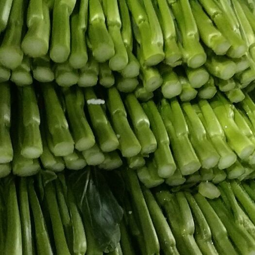 东莞市尖叶菜心 10~15cm
