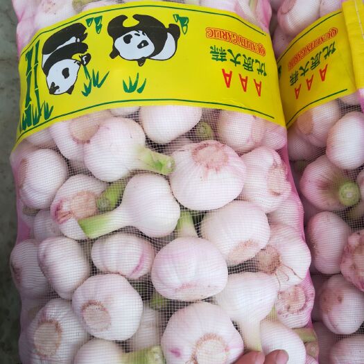 周口紫皮大蒜 混级统货 四六瓣
