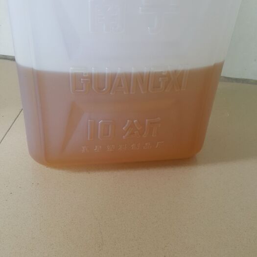 天峨县压榨一级山茶油