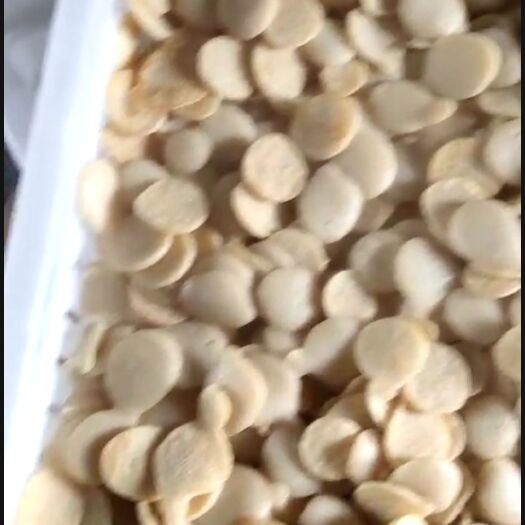 明光市食用豆饼