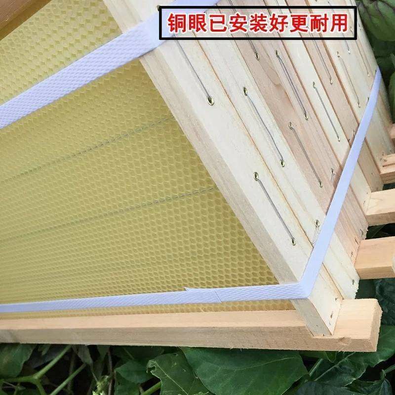 巢框 成品带框巢础  可直接使用的巢础